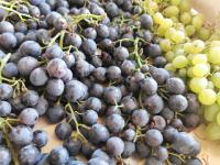Raisin noir