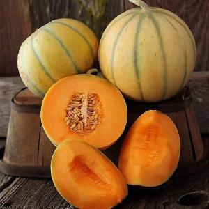 Melon charentais 1kg-1.4kg