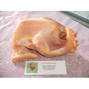 Poule