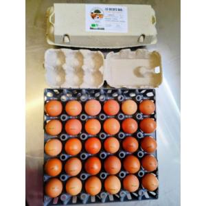Oeufs bio boîte de 12