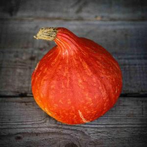 Potimarron