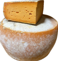 Gouda - chouchou au cumin