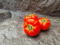 Tomate à coulis 5 kg
