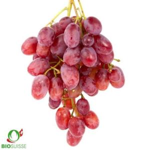 Raisin rosé katharina