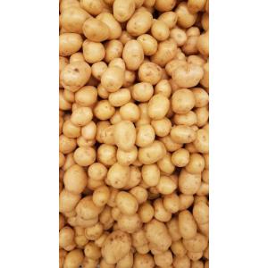 Pomme de terre grenaille