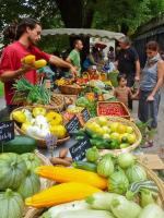 Panier de légumes 4-5 personnes