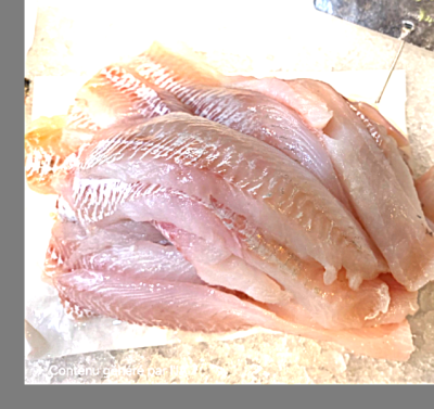 Dos de poisson blanc