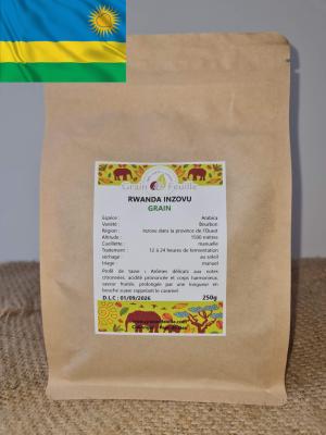 Café pour filtre , rwanda, p. de l'ouest