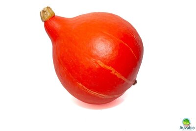 Courge potimarron