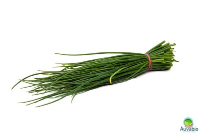 Ciboulette