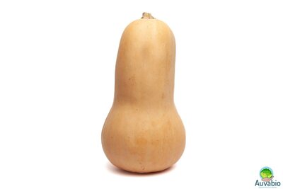 Courge butternut