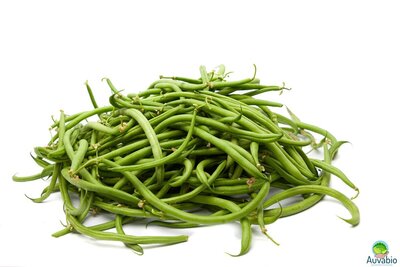 Haricot vert