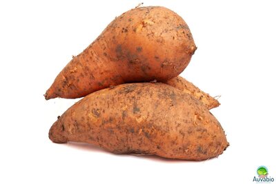 Patate douce