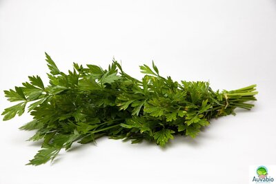 Persil plat