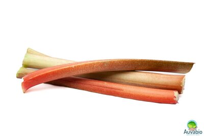 Rhubarbe