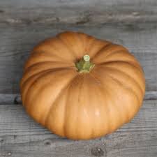 Courges muscade