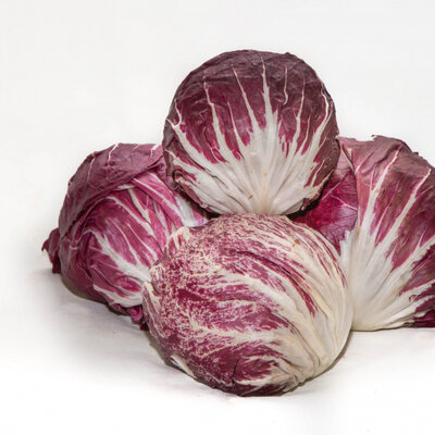 Salade trevise