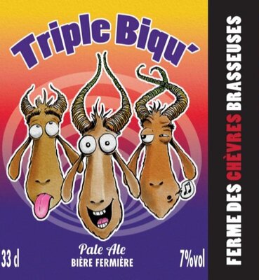 Anti-gaspi bière triple biqu' (pale ale)