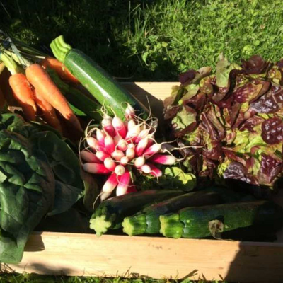 Panier de légumes (grand 3-4 pers.)