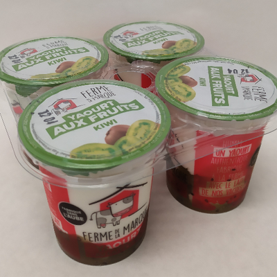 Yaourt brassé sur lit de fruits x 4 kiwi