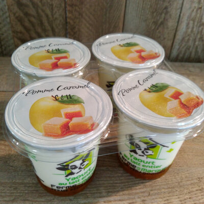 Yaourt brassé sur lit de fruits x 4 pomme caramel