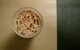 Cicera gourmand - image 3