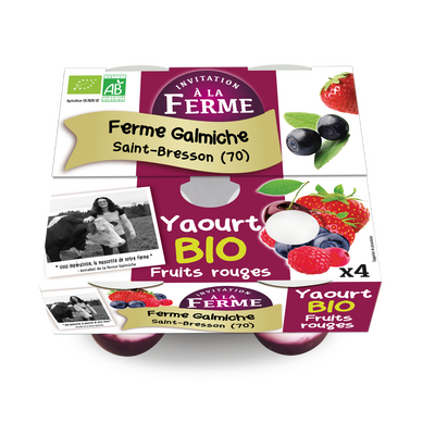 Yaourt bio aux fruits rouges 4x125g