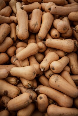 Courge butternut