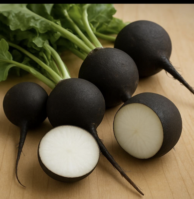 Radis noir