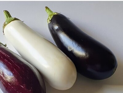 Aubergines