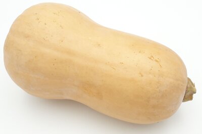 Courge butternut bio
