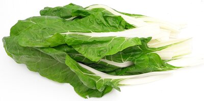 Blette feuille bio