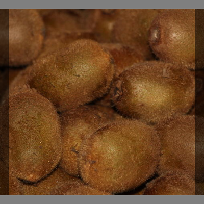 Kiwis précoces
