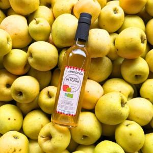 Vinaigre de pommes bio
