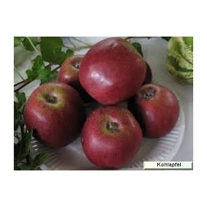 3 kg pommes à couteau non traitées