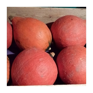 Potimarron à la pièce