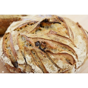 Le chanoine aux noix