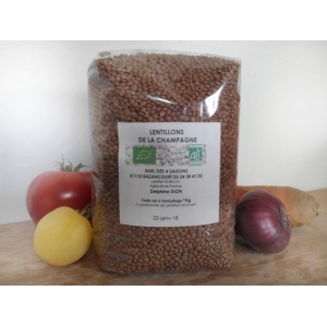 Lentillons