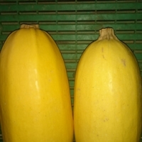 Courge spaghetti à la pièce