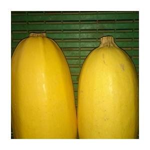 Courge spaghetti à la pièce