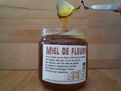 Miel de fleurs 500 g