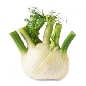Fenouil