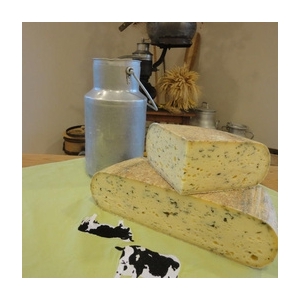 Marcheur à l'ail des ours