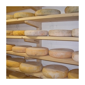 Piemont nature jeune