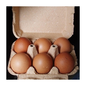 6 oeufs extras frais gros calibre