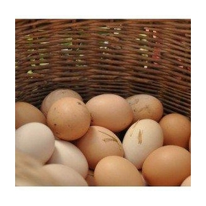 12 oeufs extras frais gros calibre