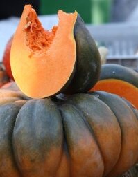 Citrouille musquée