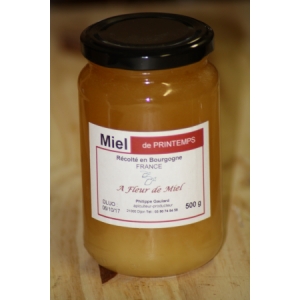 Miel de printemps 500g