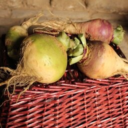 Rutabaga