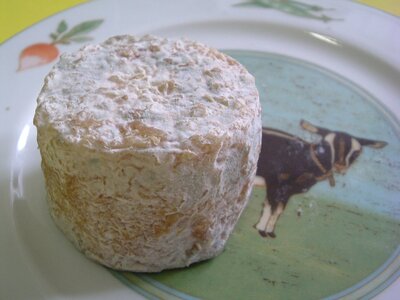 Crottin nature pur chèvre mi-sec